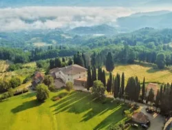 Nat Geo Day Tour: The Secrets of Tuscan Olive Oil